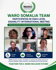 WARO DISABILITY